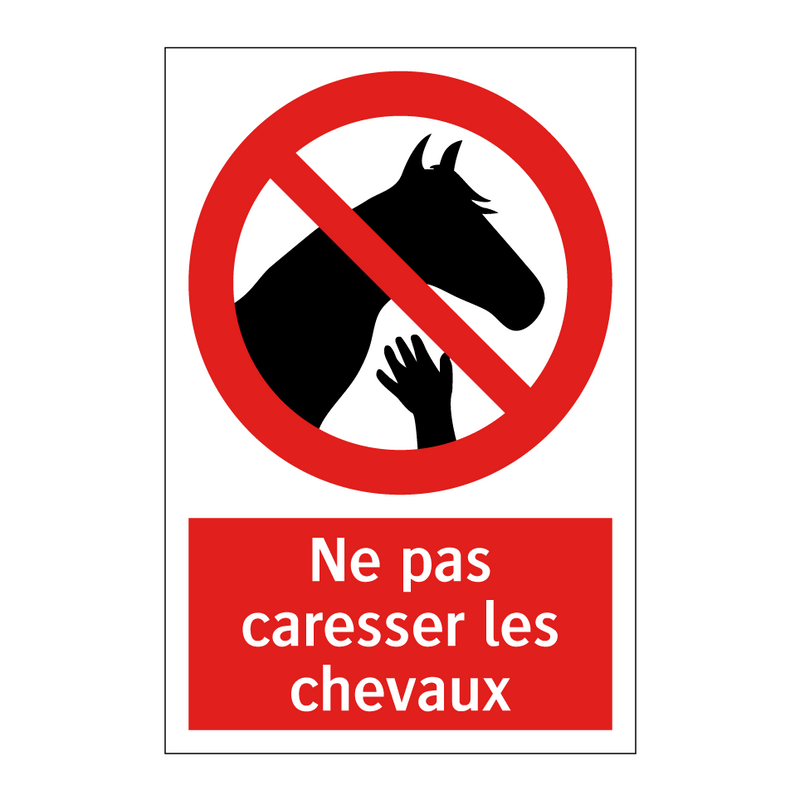 Ne pas caresser les chevaux