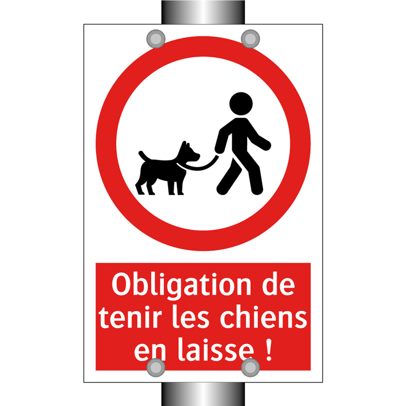 Obligation de tenir les chiens en laisse !