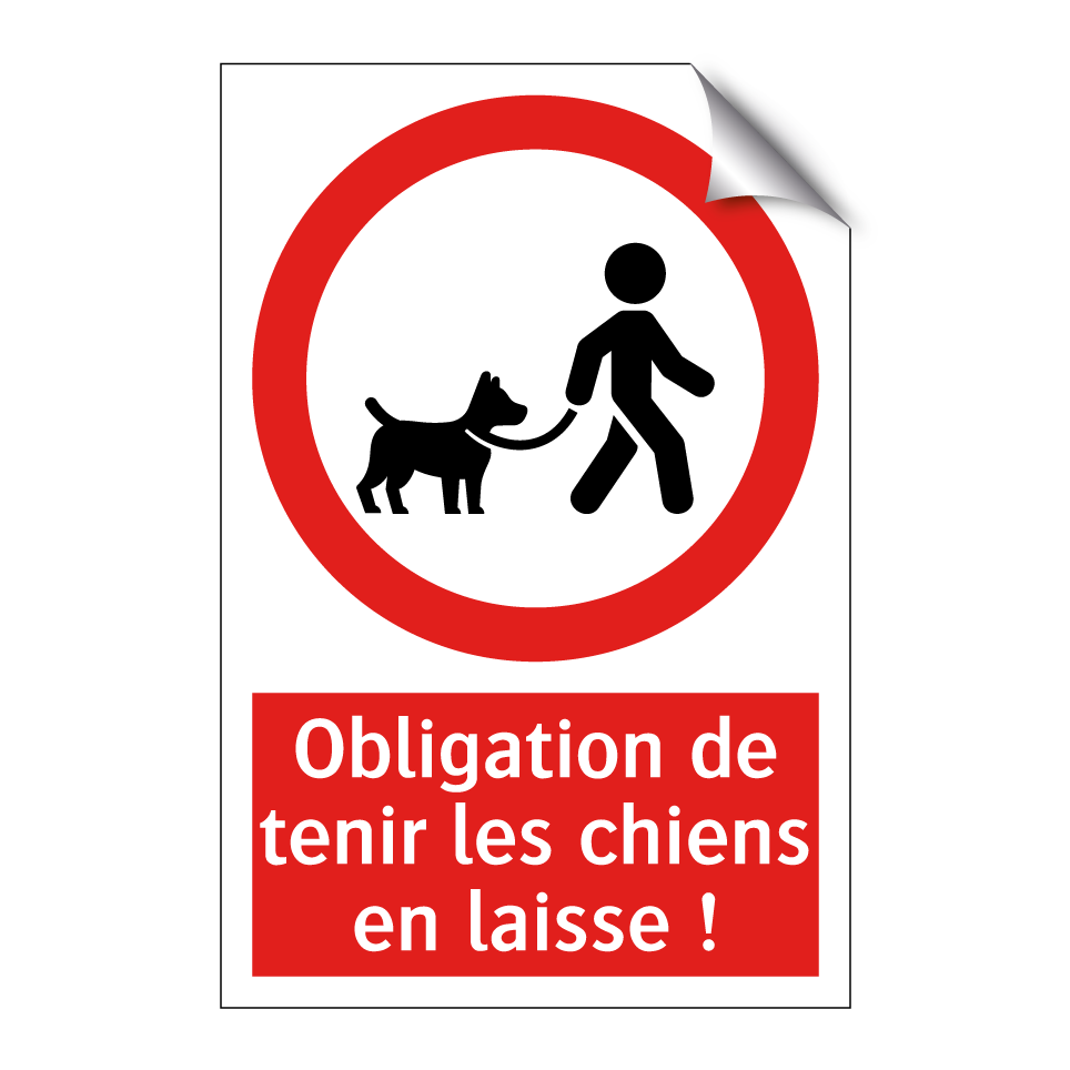 Obligation de tenir les chiens en laisse !