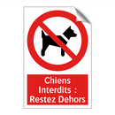 Chiens Interdits : Restez Dehors