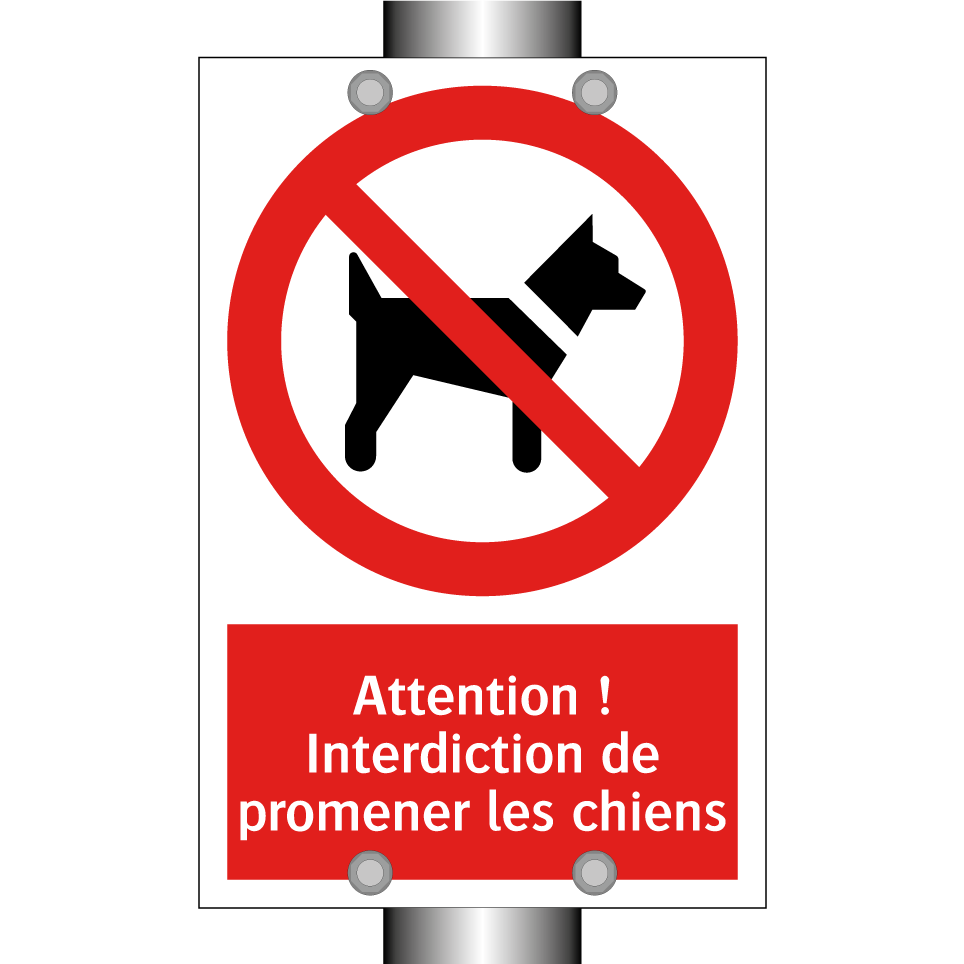 Attention ! Interdiction de promener les chiens