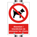 Attention ! Interdiction de promener les chiens