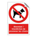 Attention ! Interdiction de promener les chiens