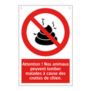 Attention ! Nos animaux peuvent tomber malades à cause des crottes de chien.