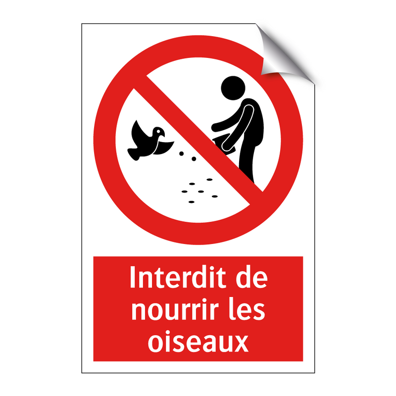 Interdit de nourrir les oiseaux