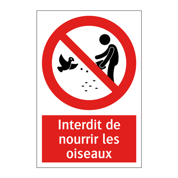 Interdit de nourrir les oiseaux