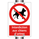 Interdiction aux chiens d'uriner