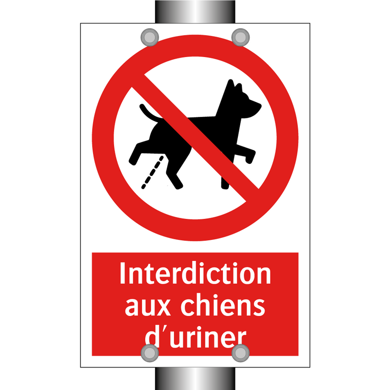 Interdiction aux chiens d'uriner