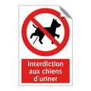 Interdiction aux chiens d'uriner