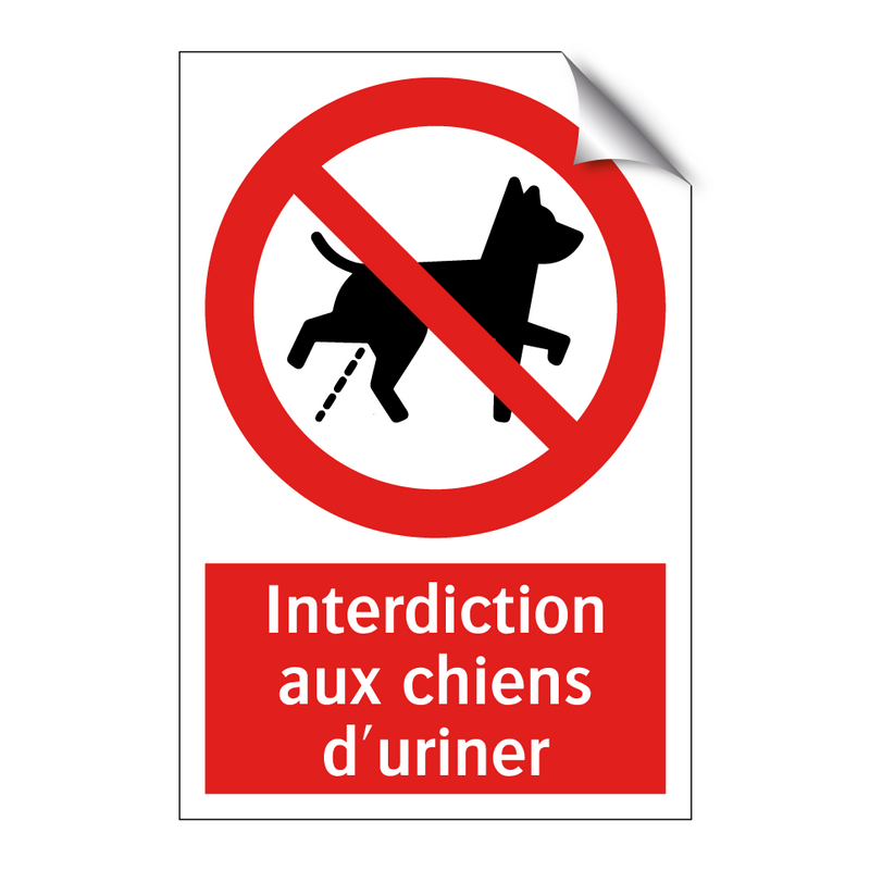Interdiction aux chiens d'uriner