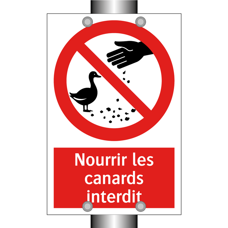 Nourrir les canards interdit