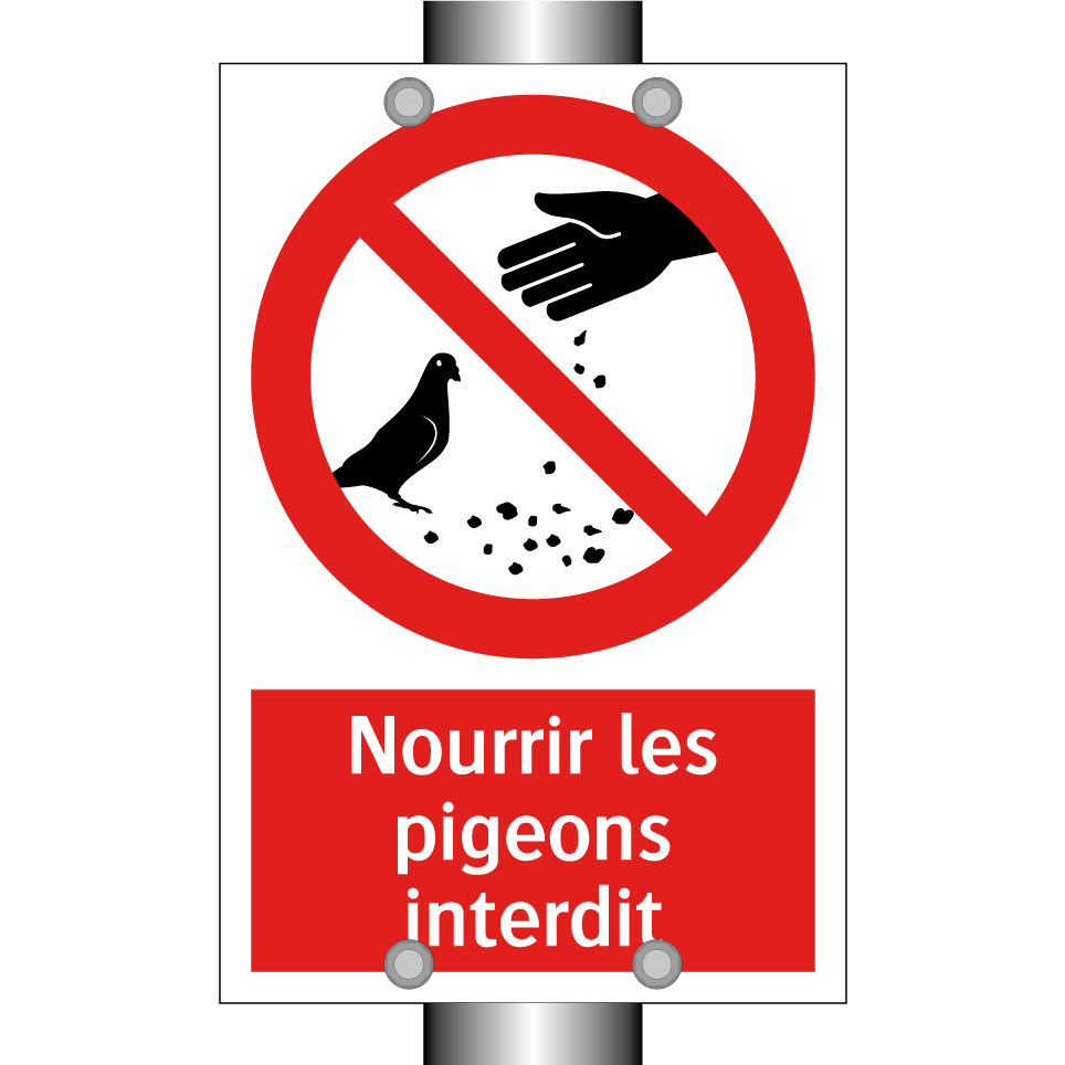 Nourrir les pigeons interdit