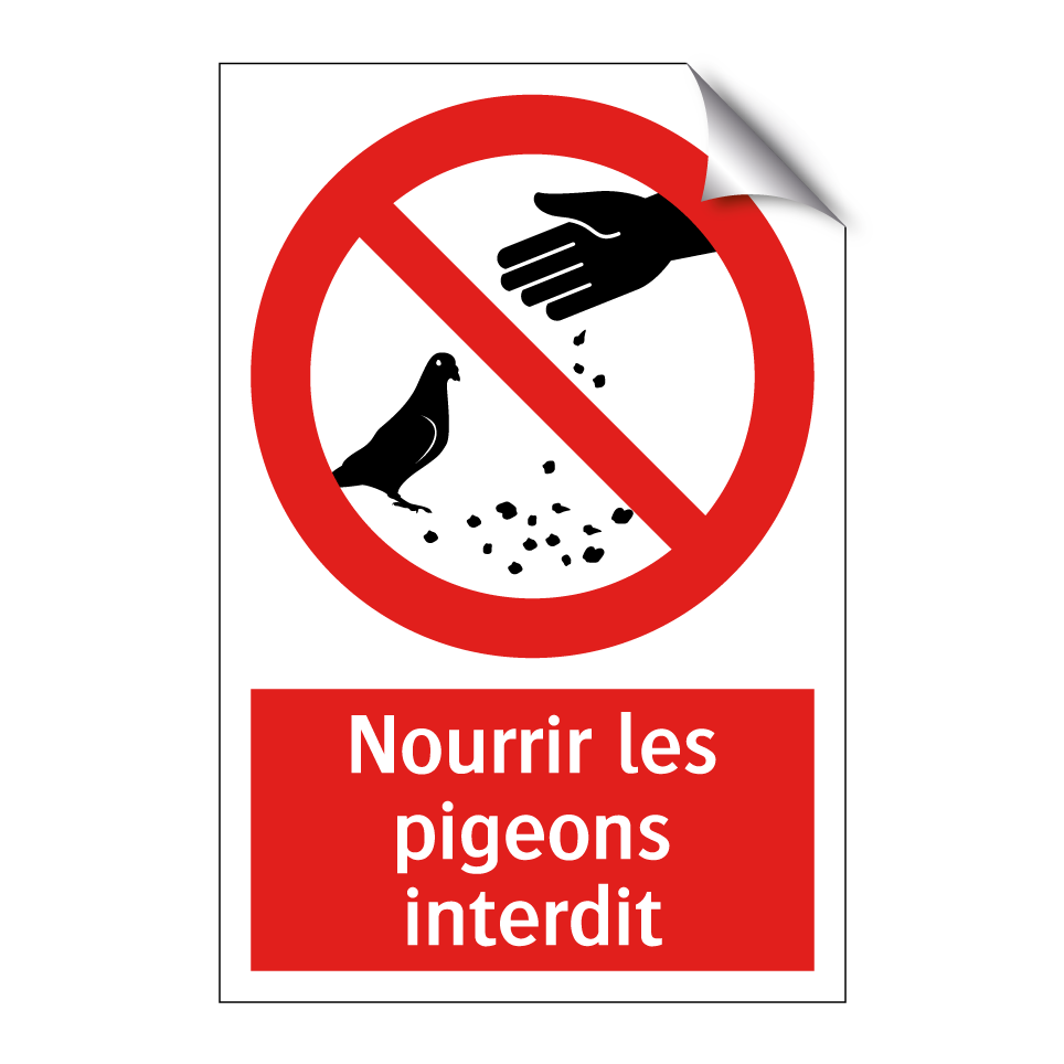 Nourrir les pigeons interdit