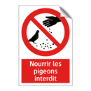 Nourrir les pigeons interdit