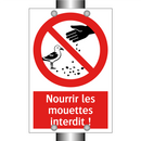 Nourrir les mouettes interdit !