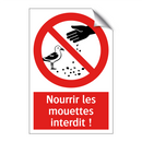 Nourrir les mouettes interdit !