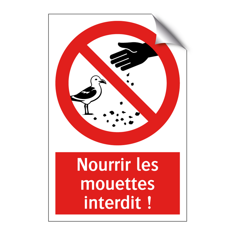 Nourrir les mouettes interdit !