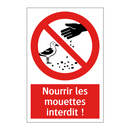Nourrir les mouettes interdit !