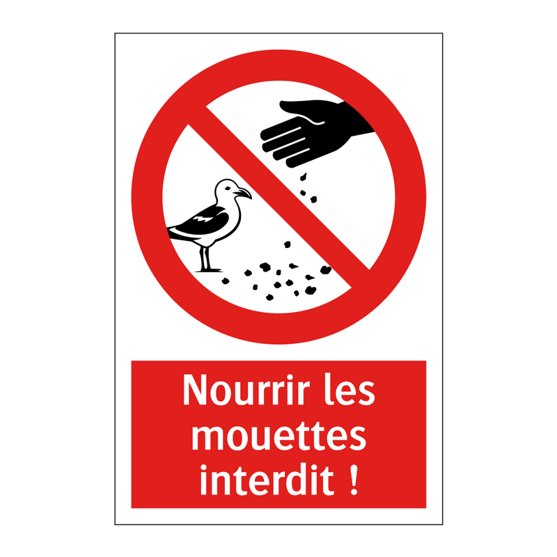 Nourrir les mouettes interdit !