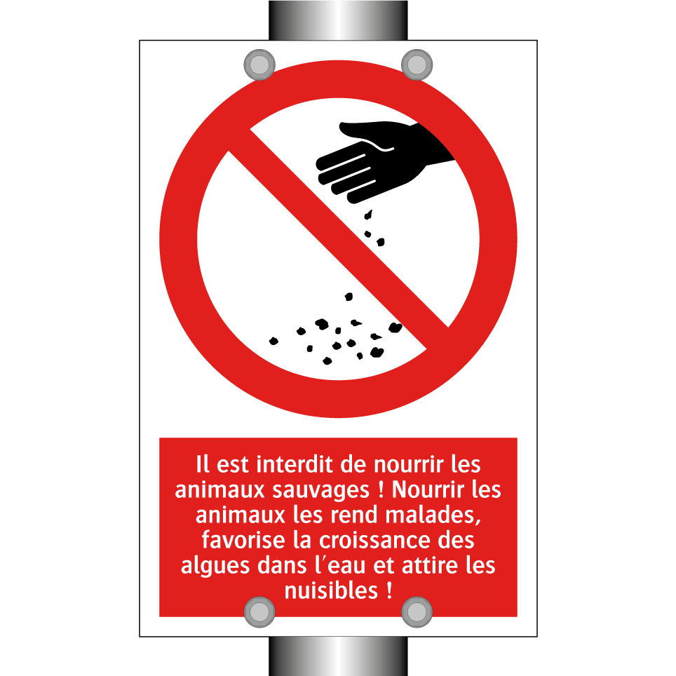 Il est interdit de nourrir les animaux sauvages ! Nourrir les animaux les rend malades, favorise la croissance des algues dans l'eau et attire les nuisibles !