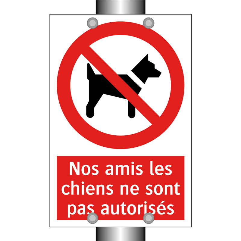 Nos amis les chiens ne sont pas autorisés