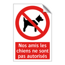 Nos amis les chiens ne sont pas autorisés