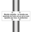 Récolte interdite : La récolte non autorisée de fruits est un vol et sera signalée par nous, le producteur.
