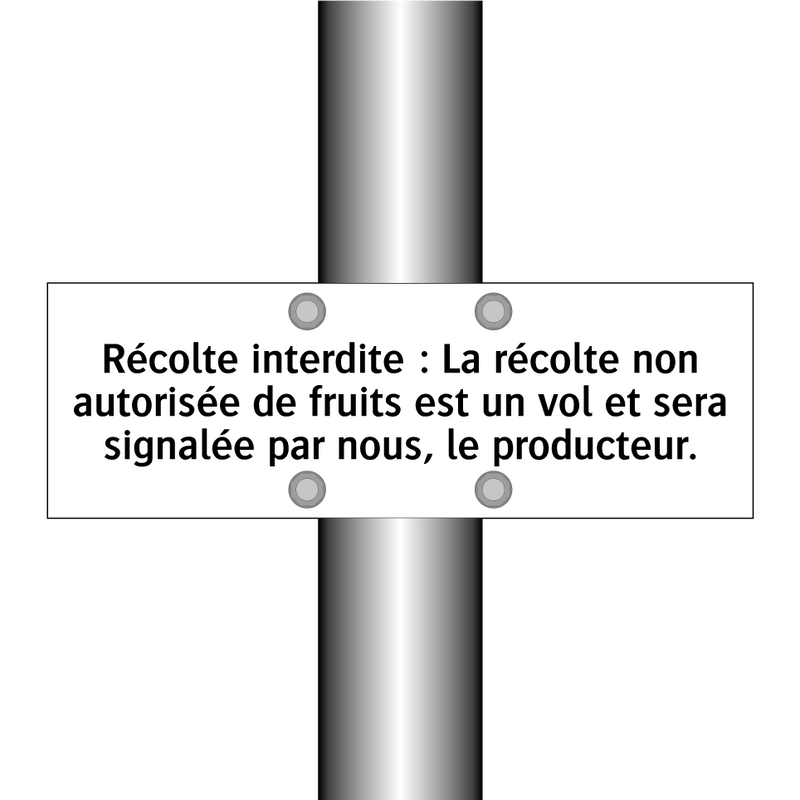 Récolte interdite : La récolte non autorisée de fruits est un vol et sera signalée par nous, le producteur.