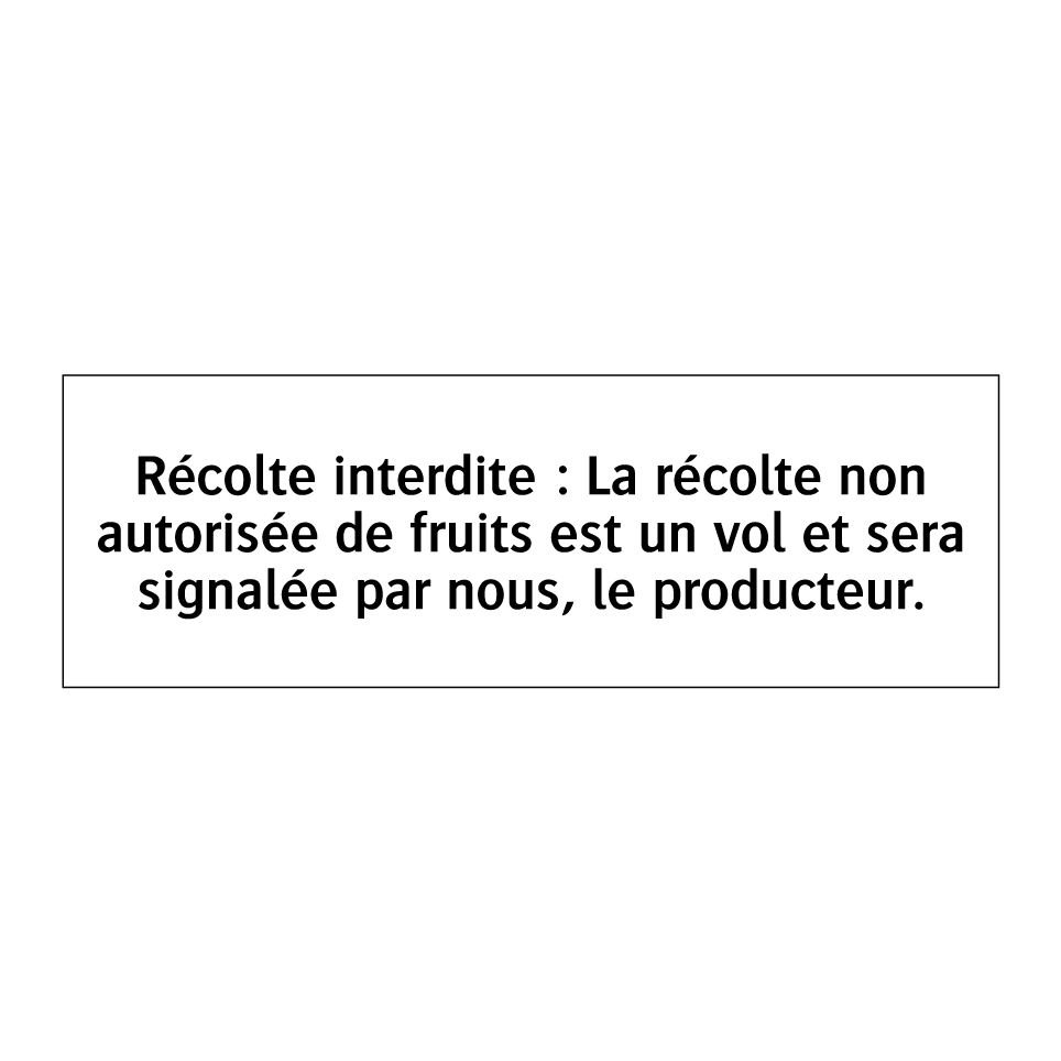 Récolte interdite : La récolte non autorisée de fruits est un vol et sera signalée par nous, le producteur.