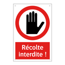 Récolte interdite !