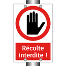 Récolte interdite !