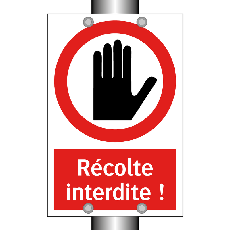 Récolte interdite !