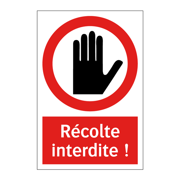 Récolte interdite !