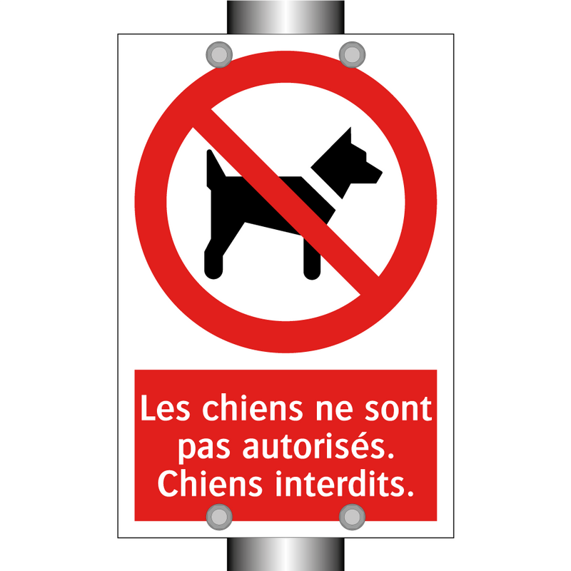 Les chiens ne sont pas autorisés. Chiens interdits.