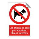 Les chiens ne sont pas autorisés. Chiens interdits.