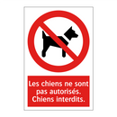 Les chiens ne sont pas autorisés. Chiens interdits.