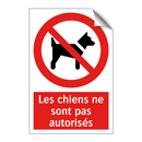 Les chiens ne sont pas autorisés