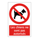 Les chiens ne sont pas autorisés