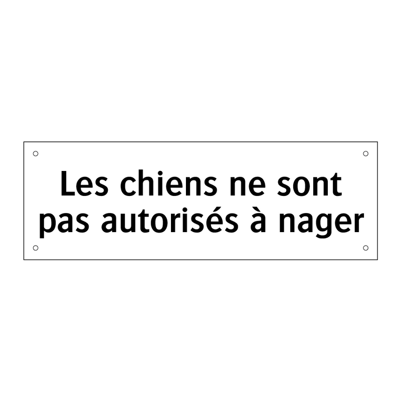 Les chiens ne sont pas autorisés à nager