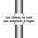 Les chiens ne sont pas autorisés à nager