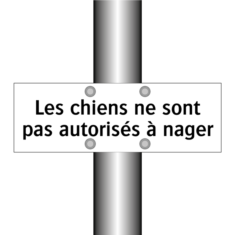 Les chiens ne sont pas autorisés à nager