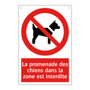 La promenade des chiens dans la zone est interdite