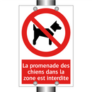 La promenade des chiens dans la zone est interdite