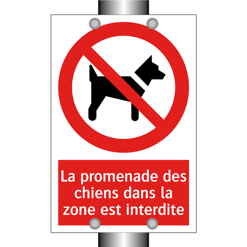 La promenade des chiens dans la zone est interdite