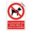La promenade des chiens dans la zone est interdite