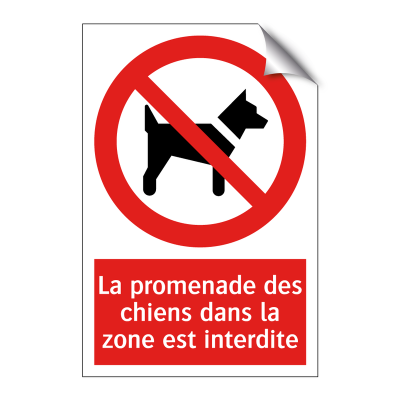 La promenade des chiens dans la zone est interdite