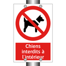 Chiens interdits à l'intérieur