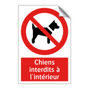 Chiens interdits à l'intérieur