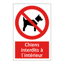 Chiens interdits à l'intérieur