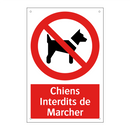Chiens Interdits de Marcher